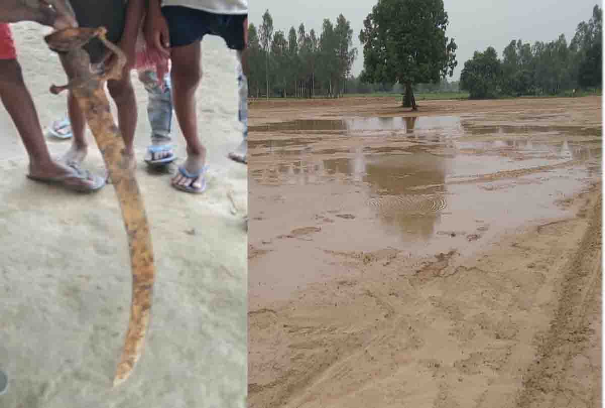 Three swords of 20-20 kg came out from the field in unnao