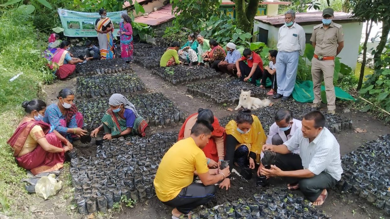 Plantation of arkid in pithauragarh