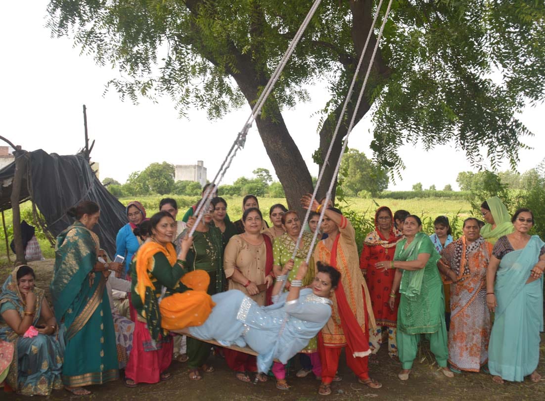 The festival of Teej echoes the Malhars of Sawan