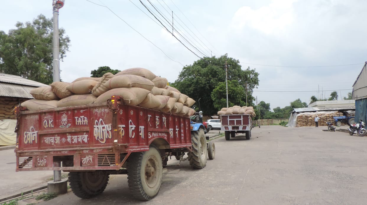In the off season, the price of maize reached beyond 17 hundred