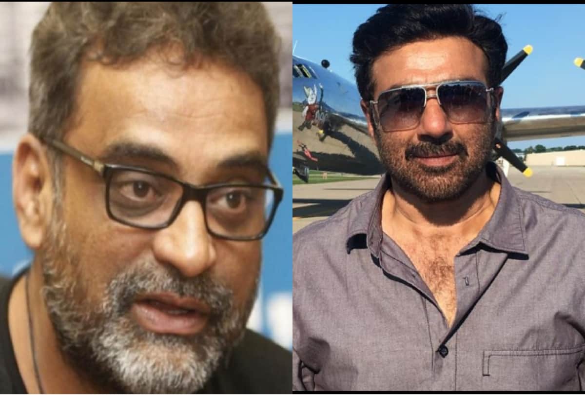 Sunny Deol green signaled this film of R Balki paired with pooja bhatt after 24 years