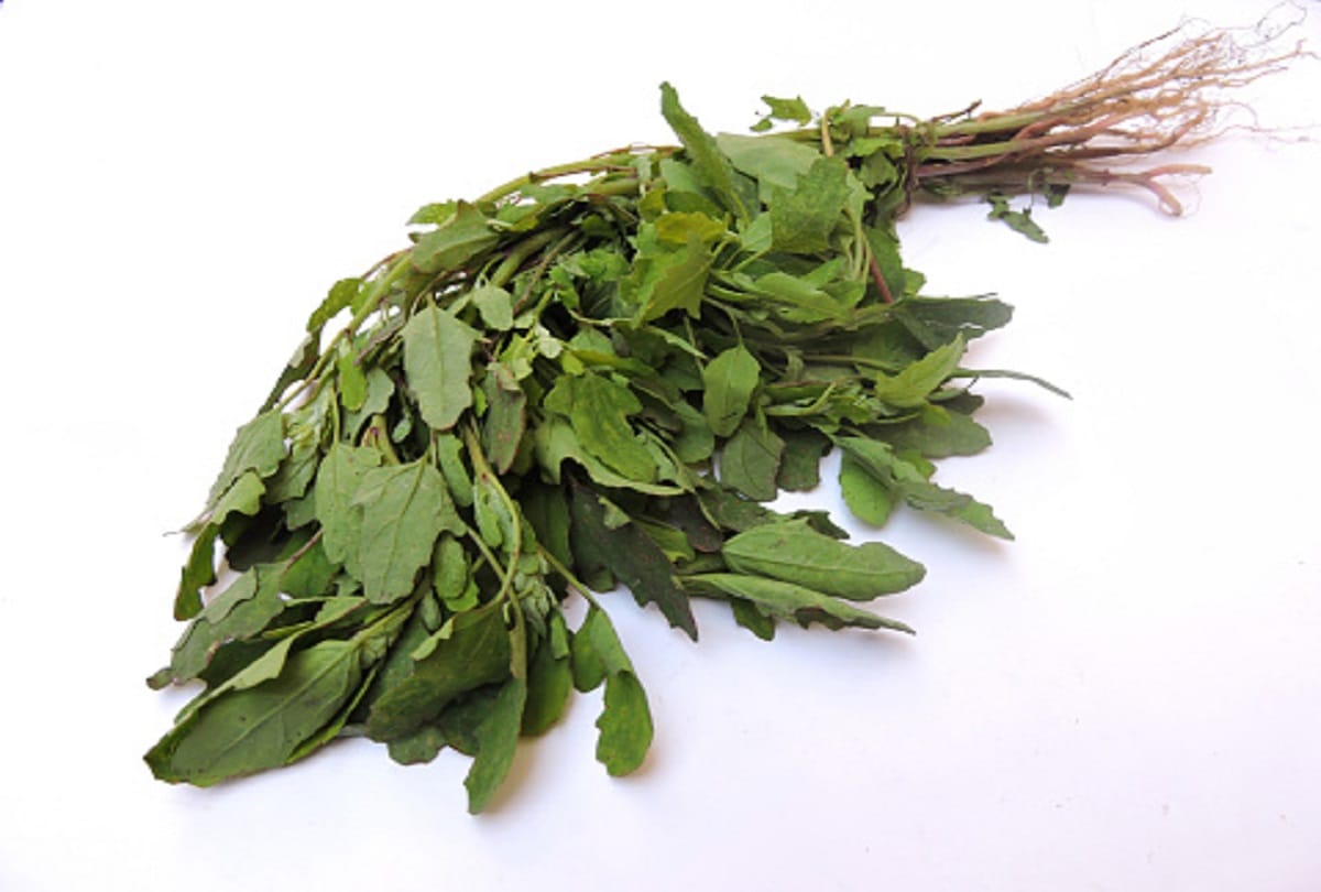 Tips To Clean Saag Bathua Sarson Methi Quick Cleaning And Chopping