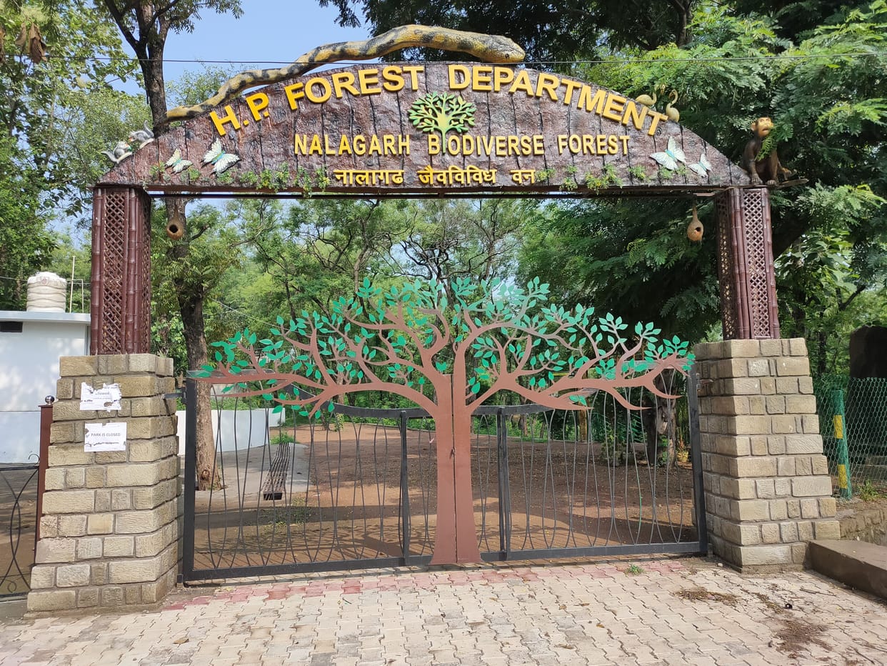 State's first IT equipped smart bio-diverse park starts functioning in Nalagarh