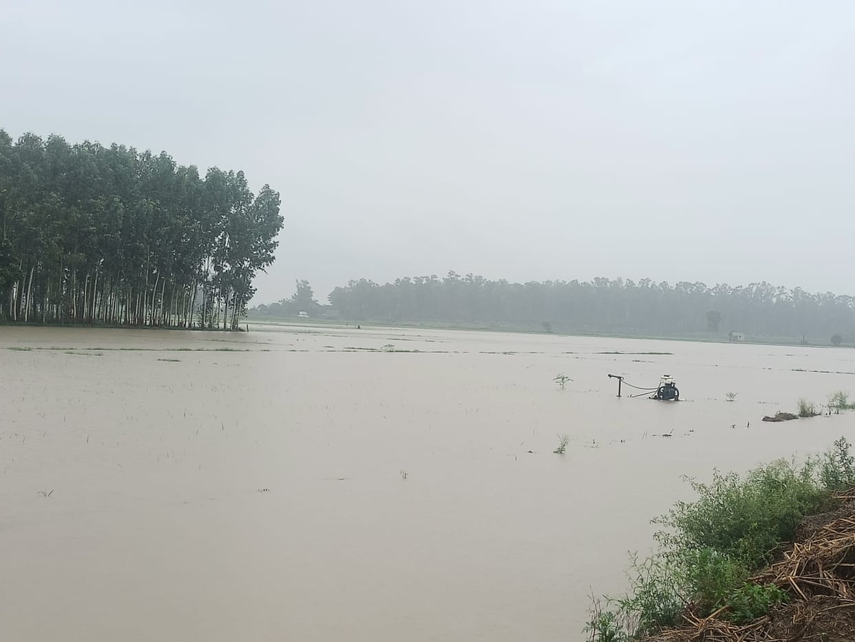 Demand for drainage of water from the fields in Hathwala and Poli villages