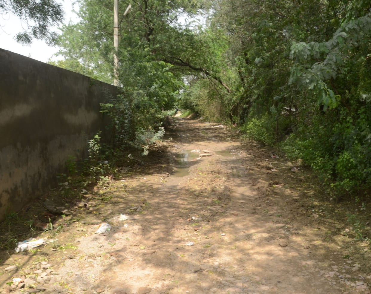 Dhani Phogat, the village of three freedom fighters and two martyrs, yearns for basic amenities