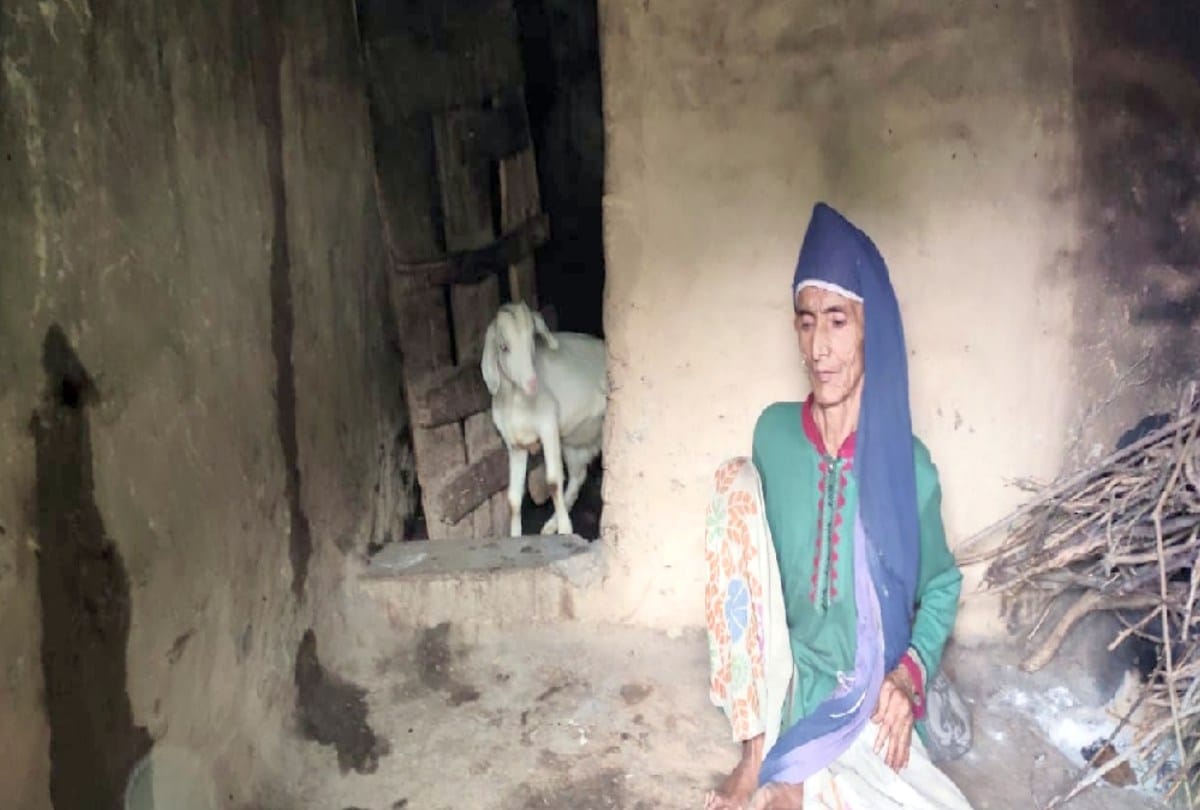 70 years old Woman living in cowshed with daughter for 35 years in sangraha himachal