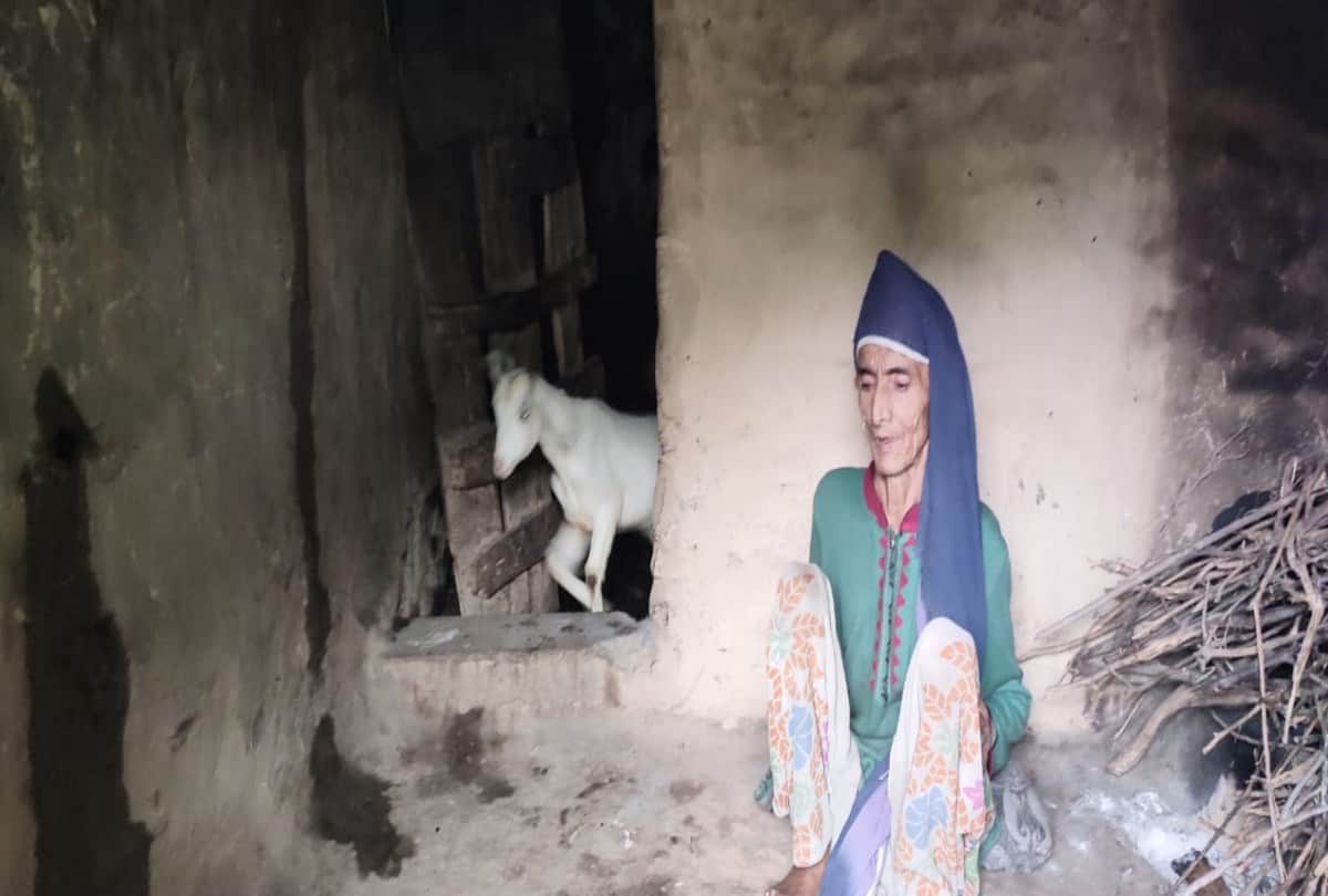 70 years old Woman living in cowshed with daughter for 35 years in sangraha himachal