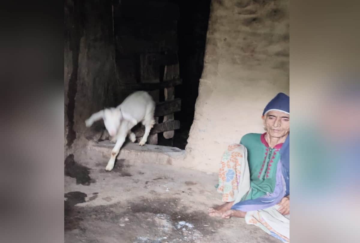 70 years old Woman living in cowshed with daughter for 35 years in sangraha himachal
