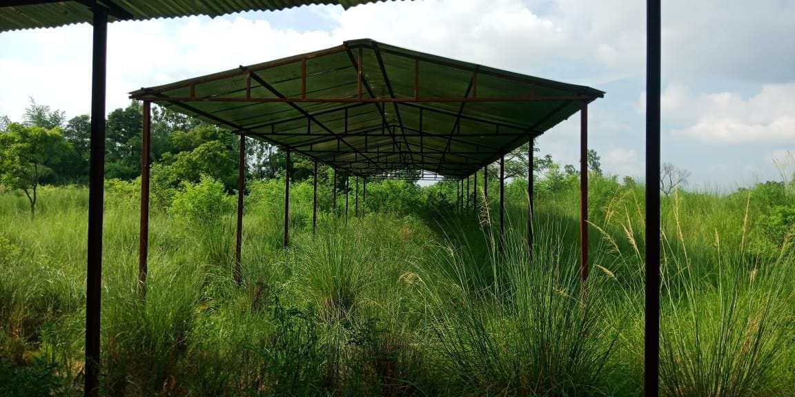 Cow shelter centers worth crores have been given to corruption
