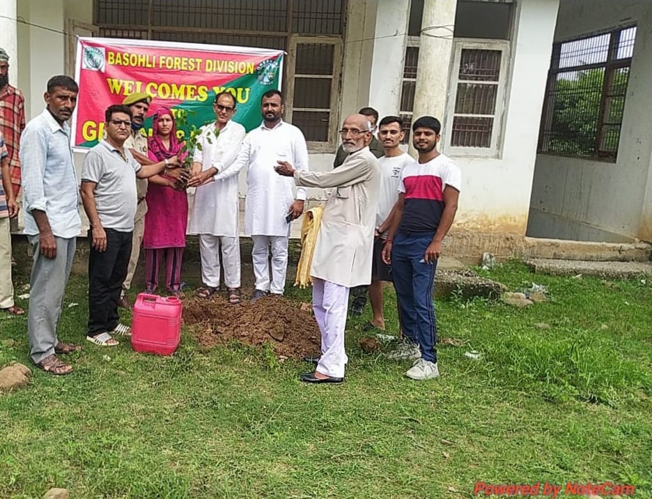 Plantation drive