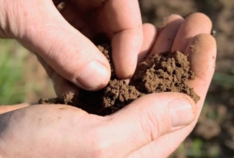Haryana Land Soil testing of 25 lakh Acres Fertility Power of Every Farm will Increase