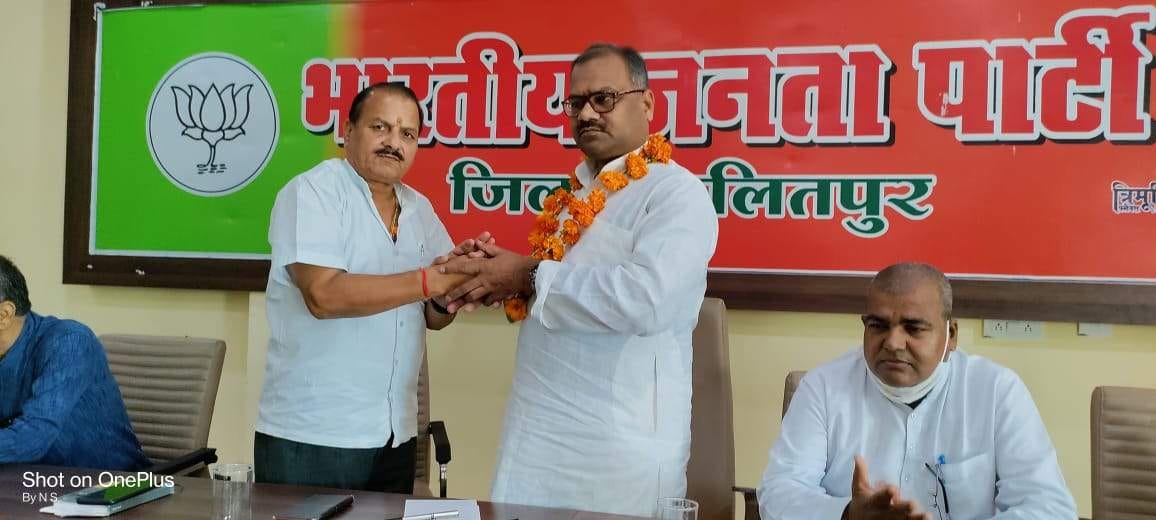 ashirwaad yatra, bjp political campign