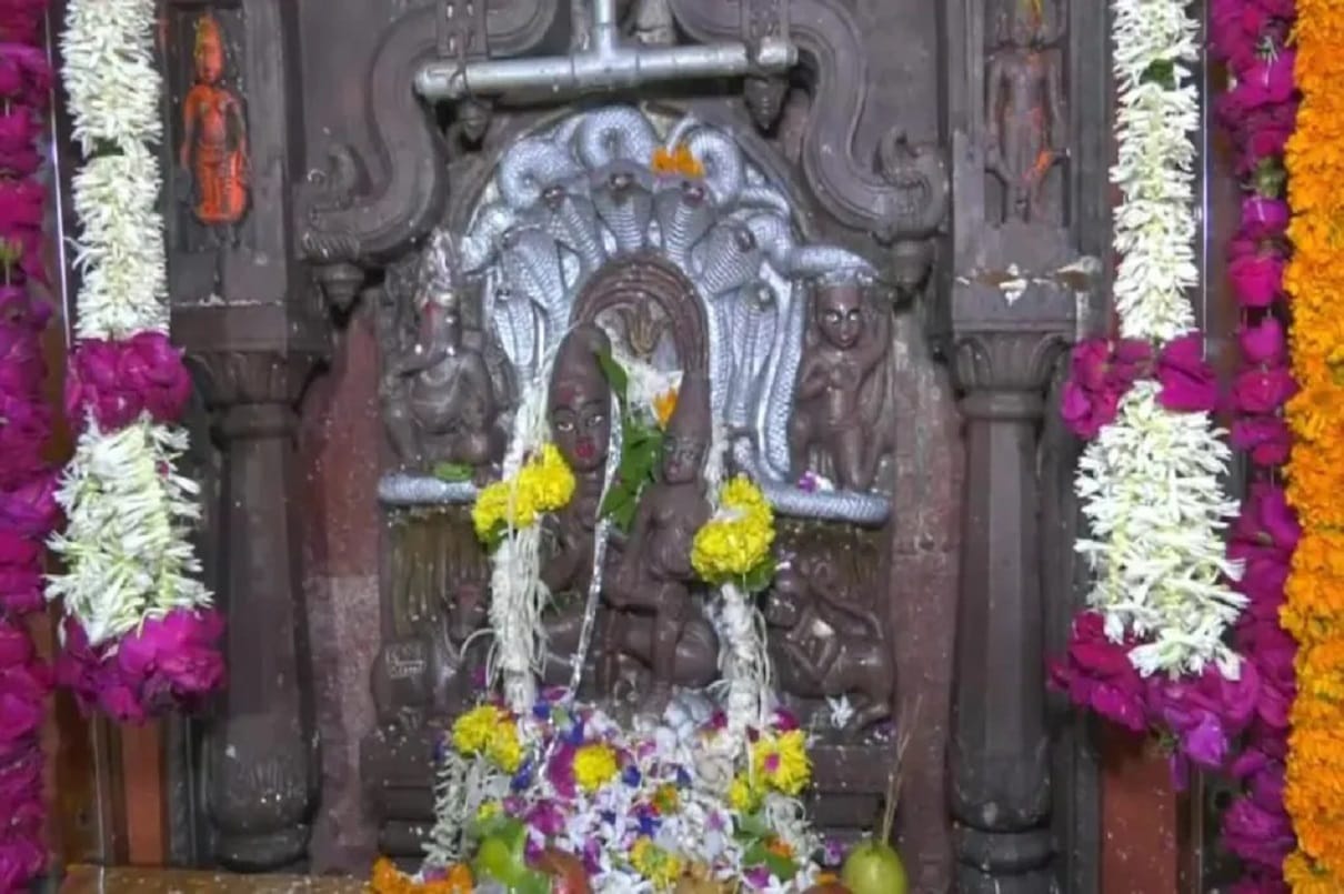 NagPanchami 2022 is on 2nd August Do and Dont's on this Day