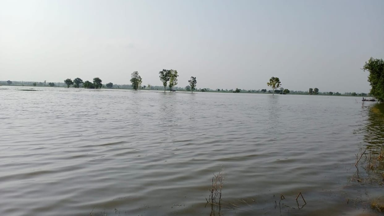 Tension among farmers due to drainage of rain water filled in the fields