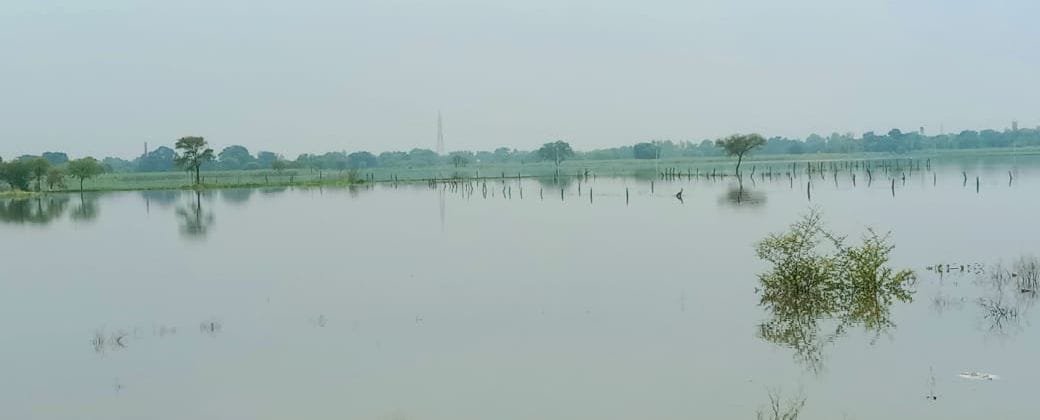 water