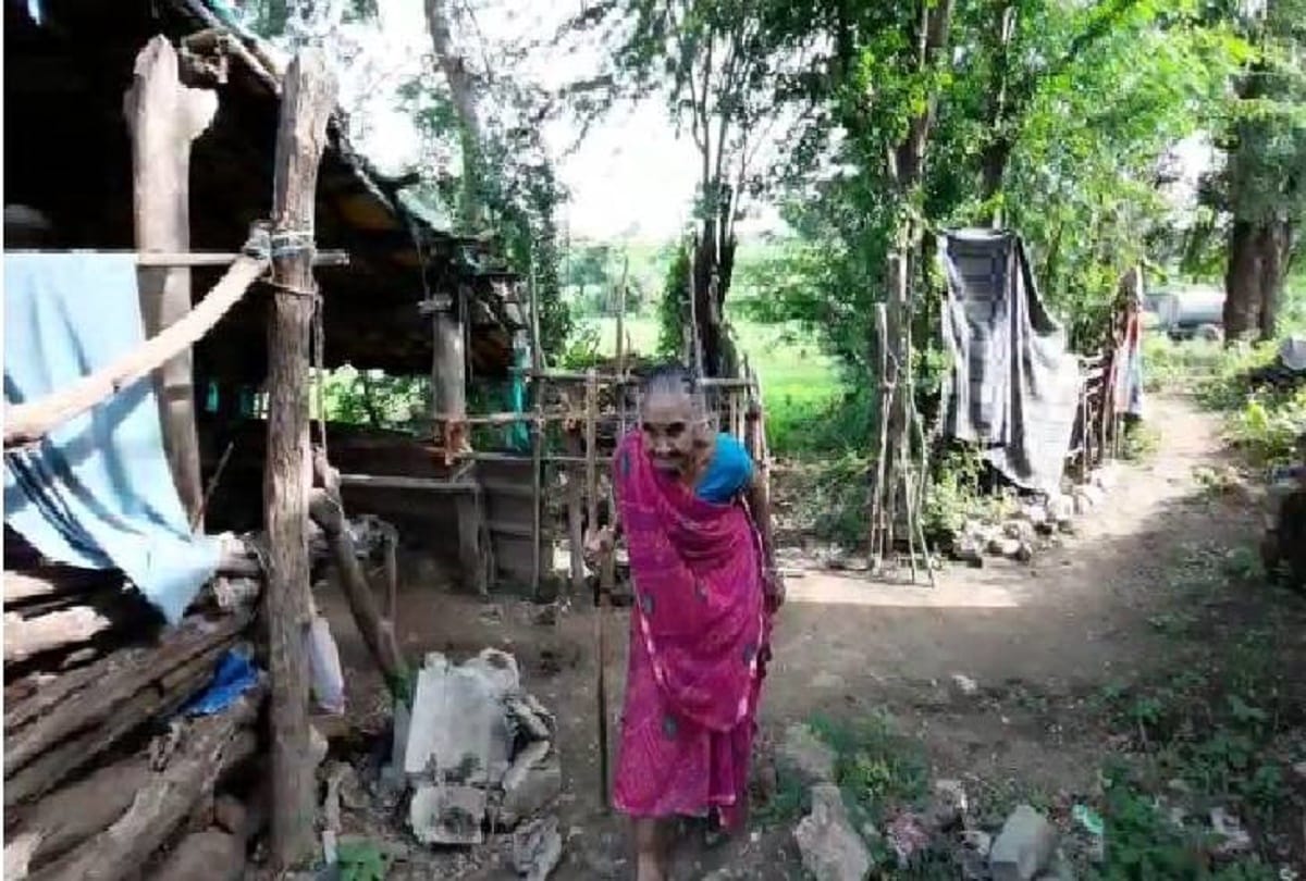 Painful tale of freedom fighter The government of the country defeated the one who did not lose to the British