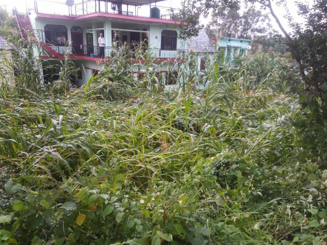 Heavy rain disrupted life for two hours, Roads are full of water, damage to maize crop due to storm accompanied by rain at many places