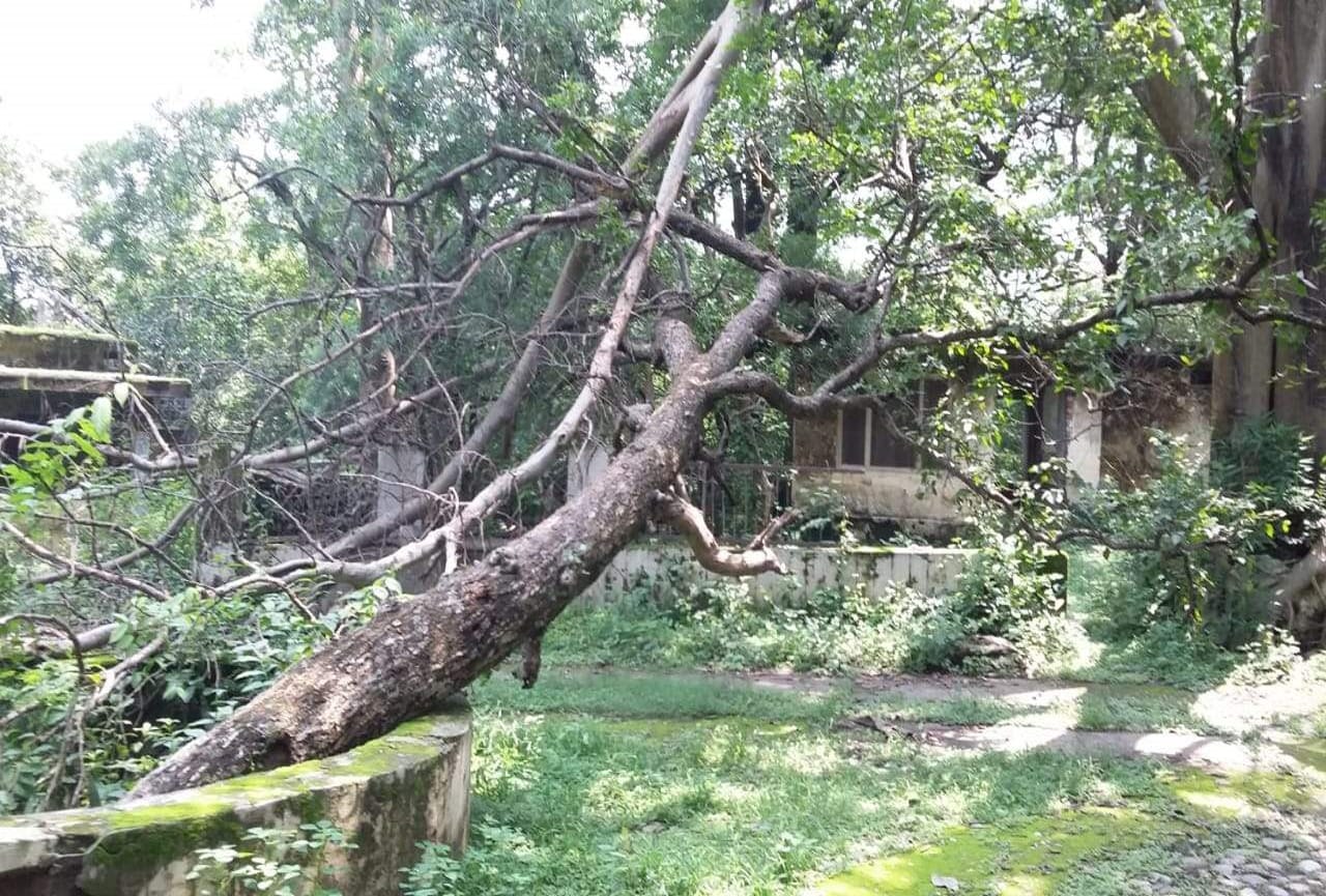Chaurasi Kutiya: the world famous ashram turning into ruins, watch photos
