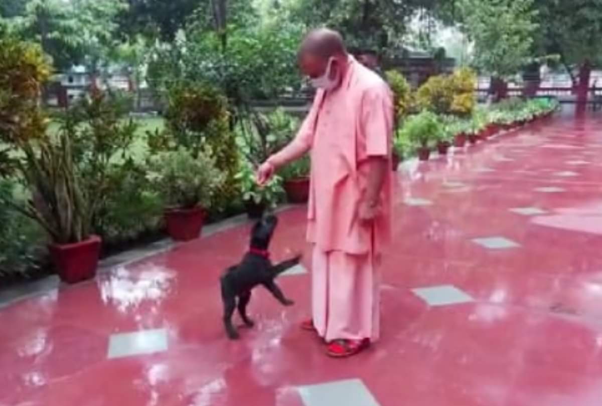 CM yogi Adityanath listen problem in Janta darbar at Gorakhnath mandir