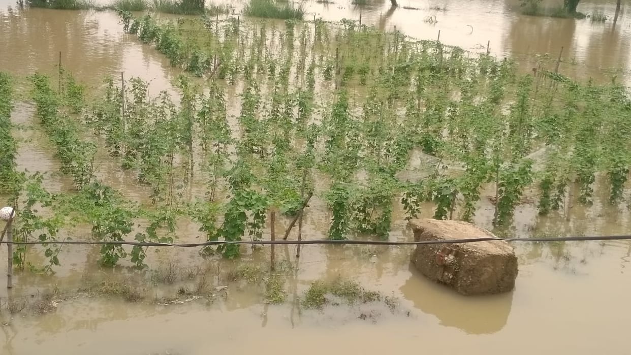 Relief: Now the water level of Ganga started decreasing