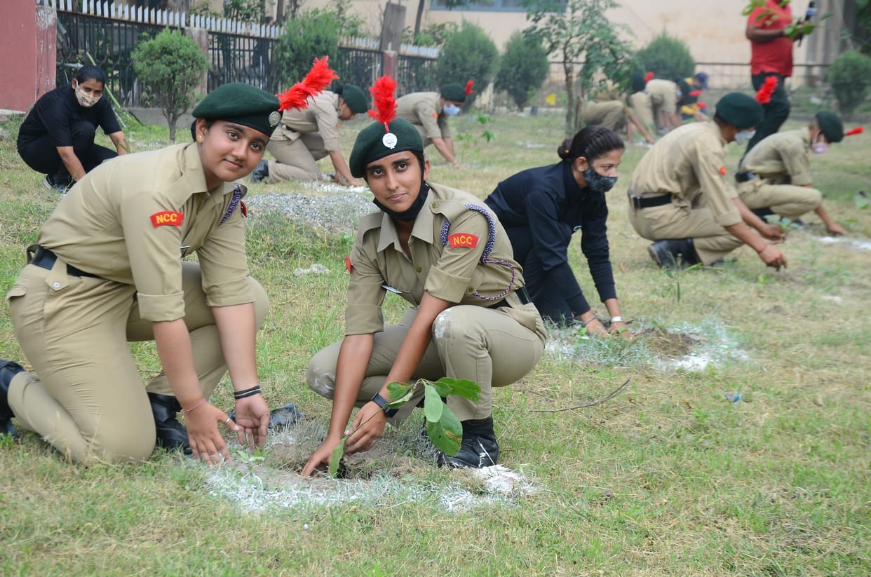 Swachh Bharat Abhiyan,plantation drive