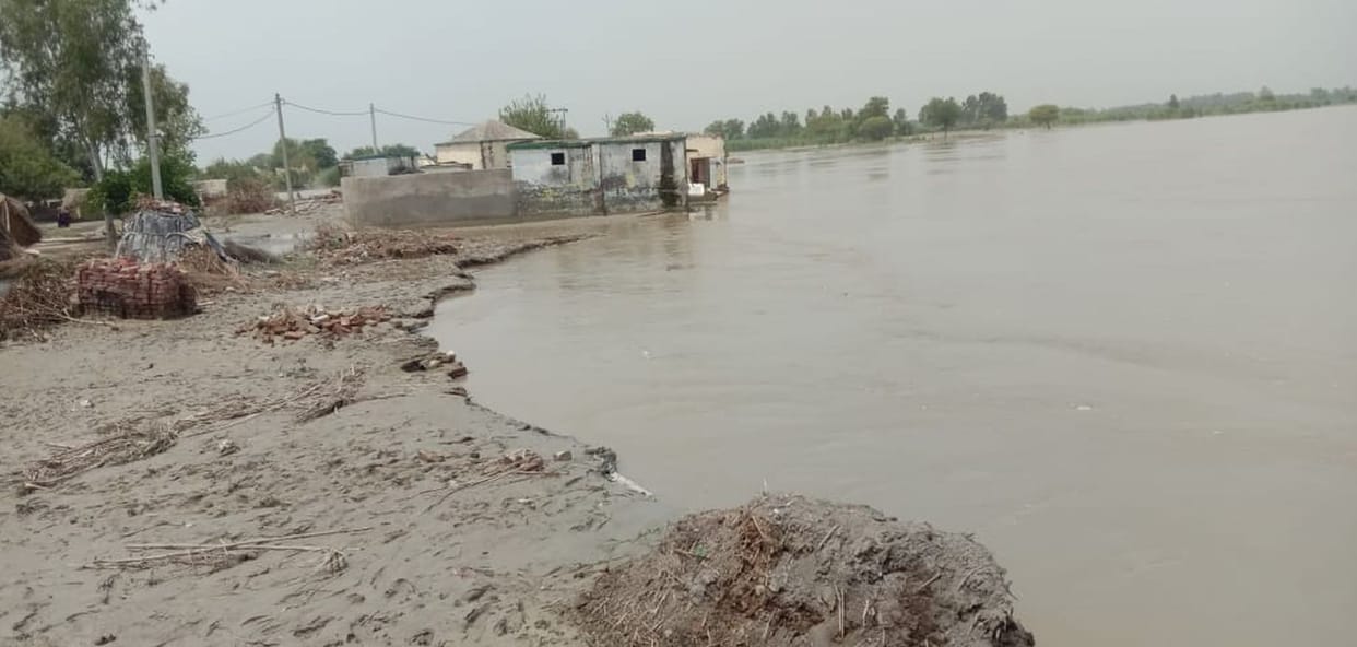 Ganga decreased by 25 cm but troubles increased, harvesting intensified