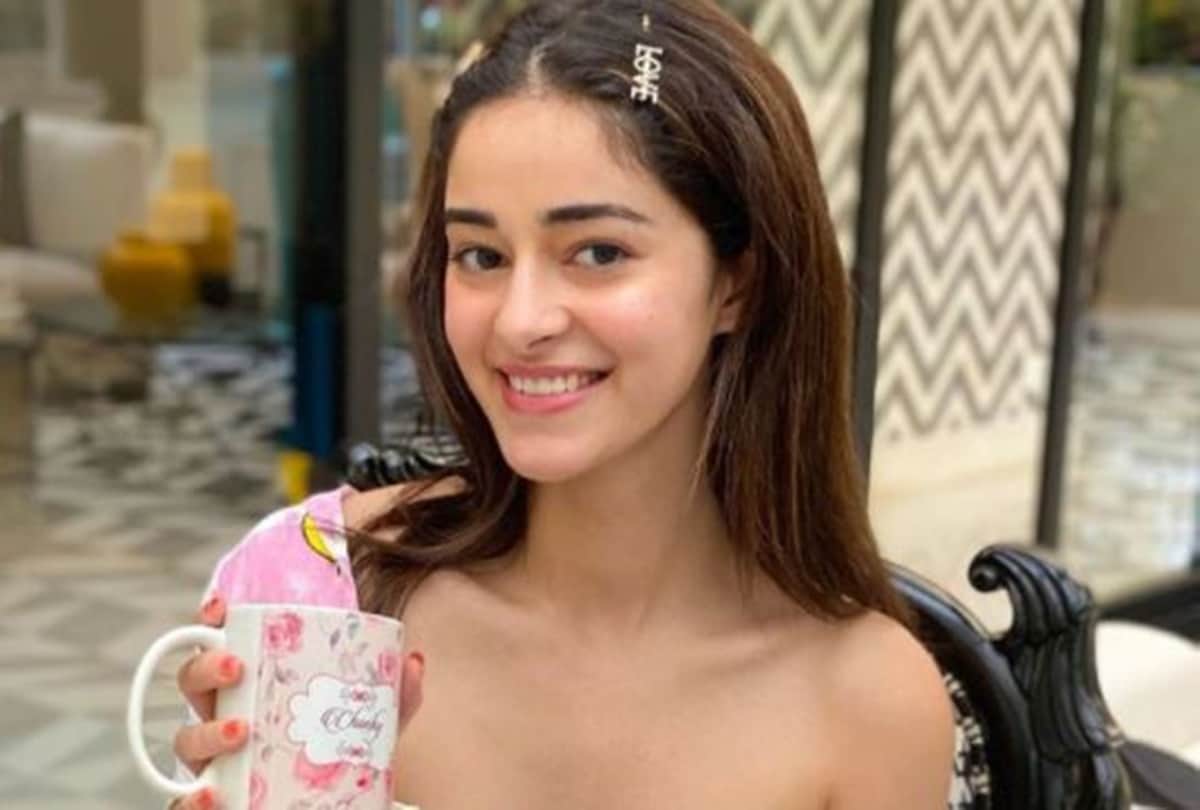 Ananya pandey reacted to user comment who called her struggling didi