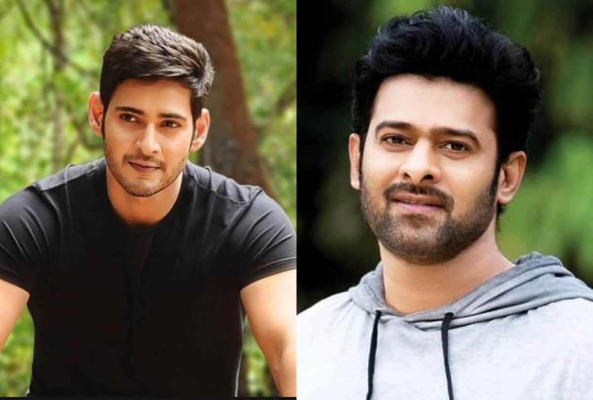 Prabhas to Thalapathy Vijay these South Indian actors are getting paid more than Bollywood celebrities