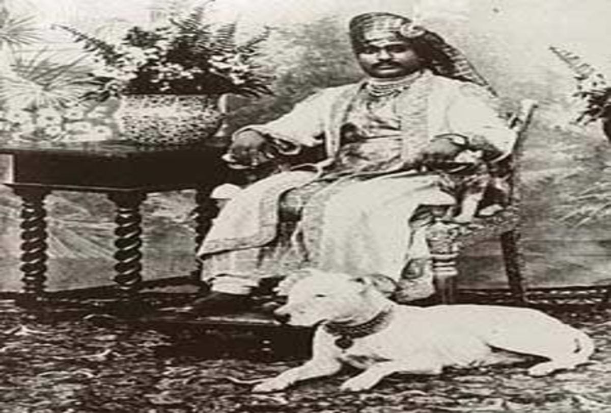 interesting story of junagadh nawab mahabat khan spend 2 crore rupees on dogs wedding
