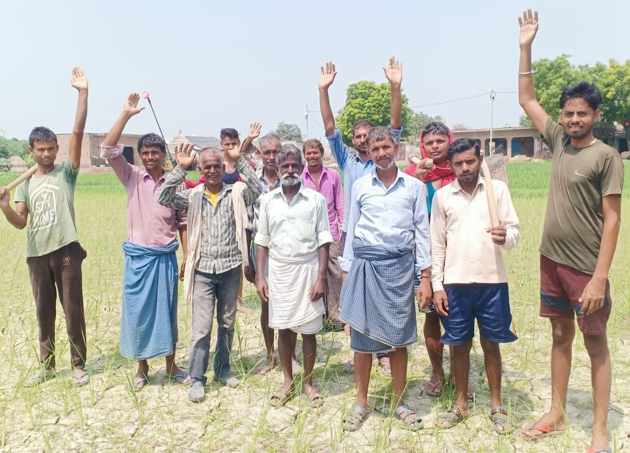 There is no water in Pachawar Rajwah, there is a crisis on the crop of thousands of bighas of paddy