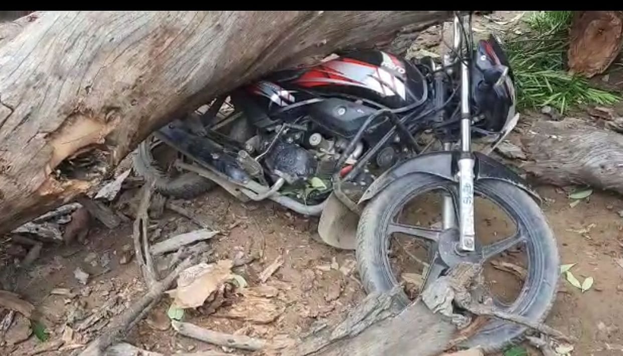 Tree falls on jeep, two injured