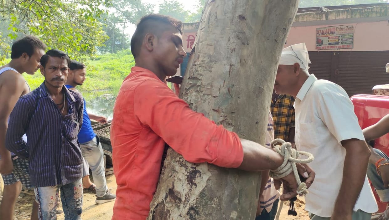 The young man who was stealing the moorang was tied to a tree and beaten