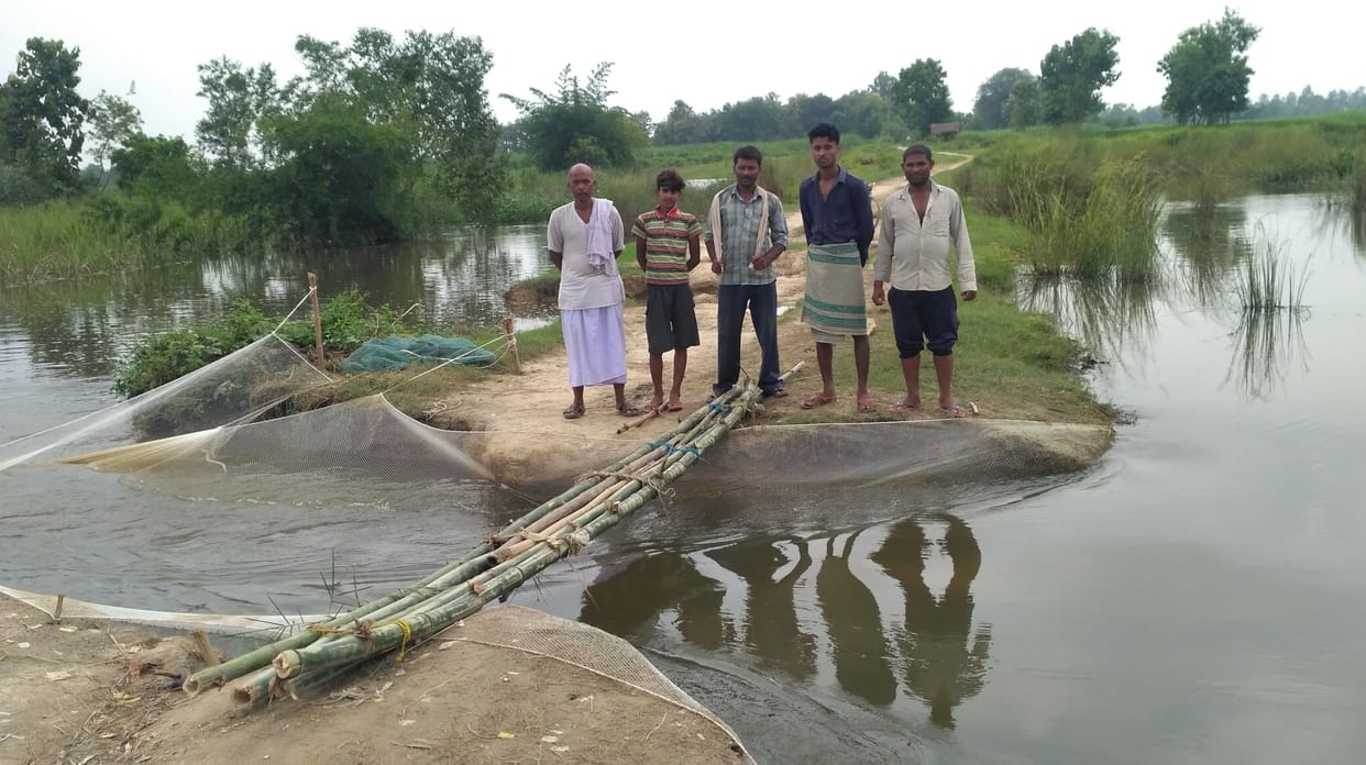 Ten thousand people crossing with the help of bamboo bridge