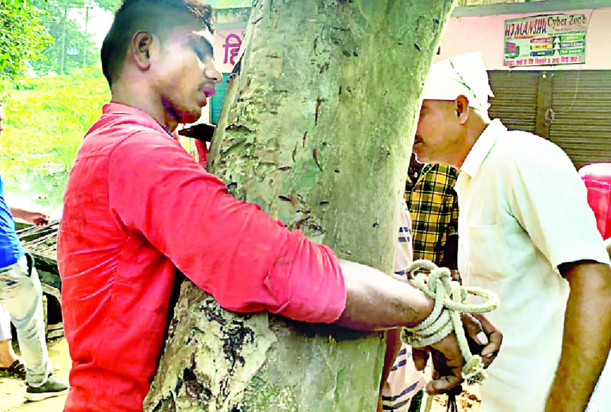 Video Viral: The young man who was stealing Morang was beaten up by tying him to a tree