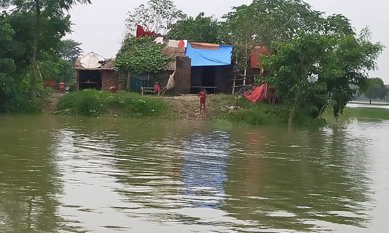 Many villages engulfed by the floods of the old Rapti river, crop ruined