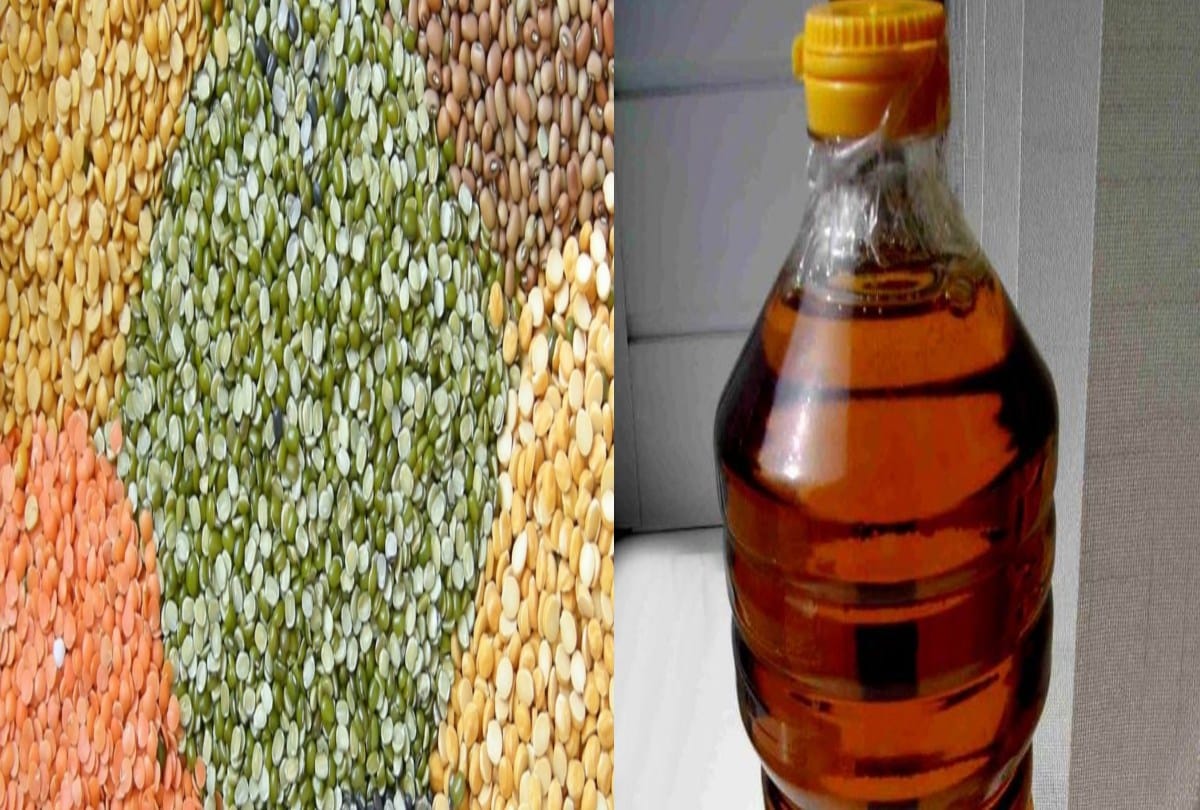 Malka expensive in govt ration depots of himachal, urad-chana dal and mustard oil cheaper