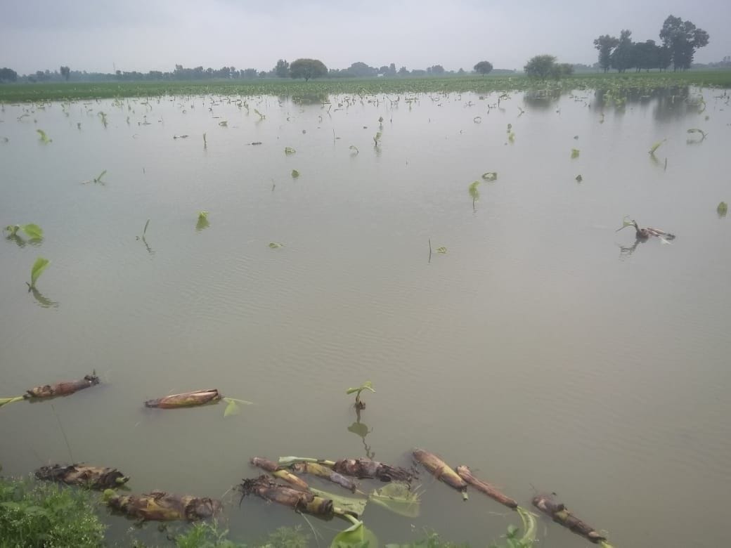 shravasti