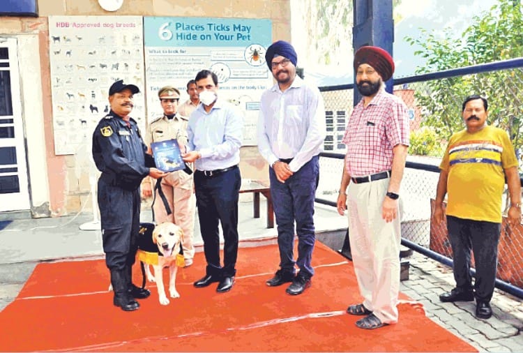 Sniffer dog Arjun retired from customs department on Independence day