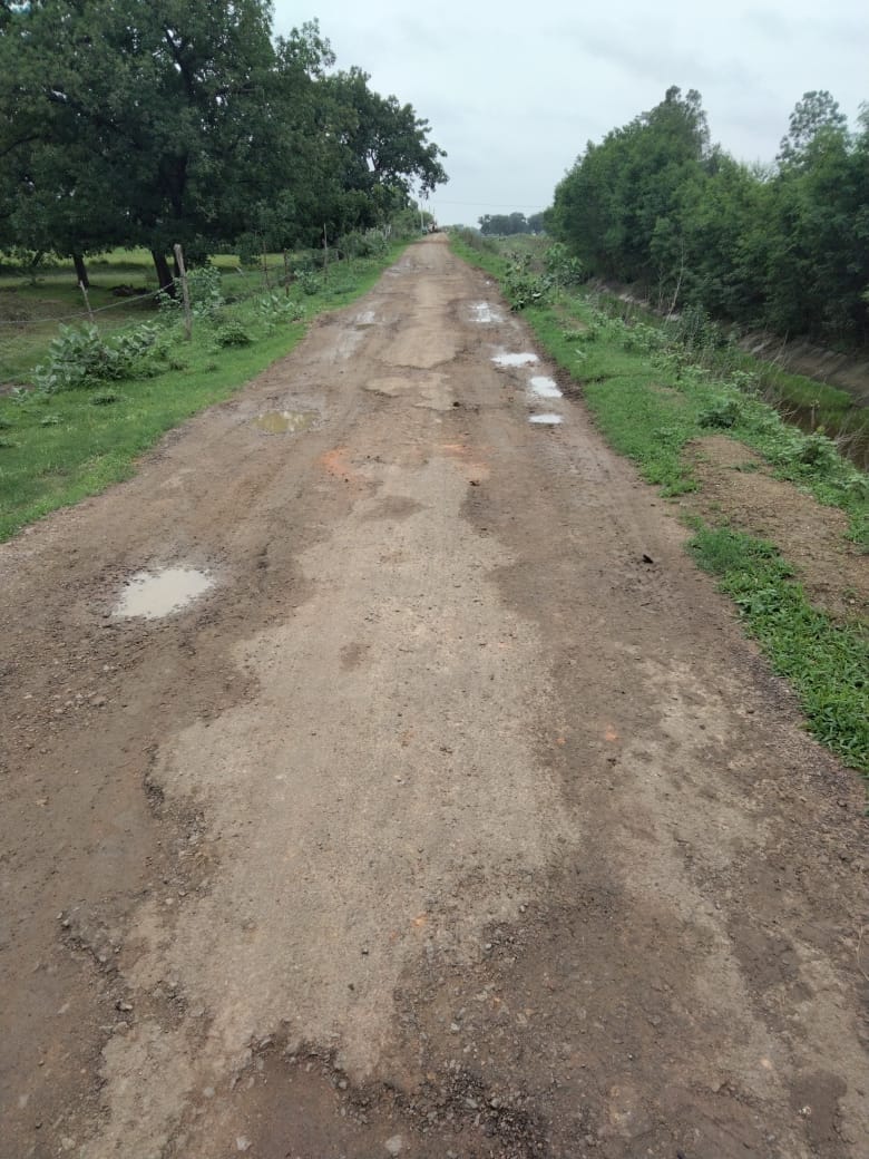 jamni dam left canal, shabby road