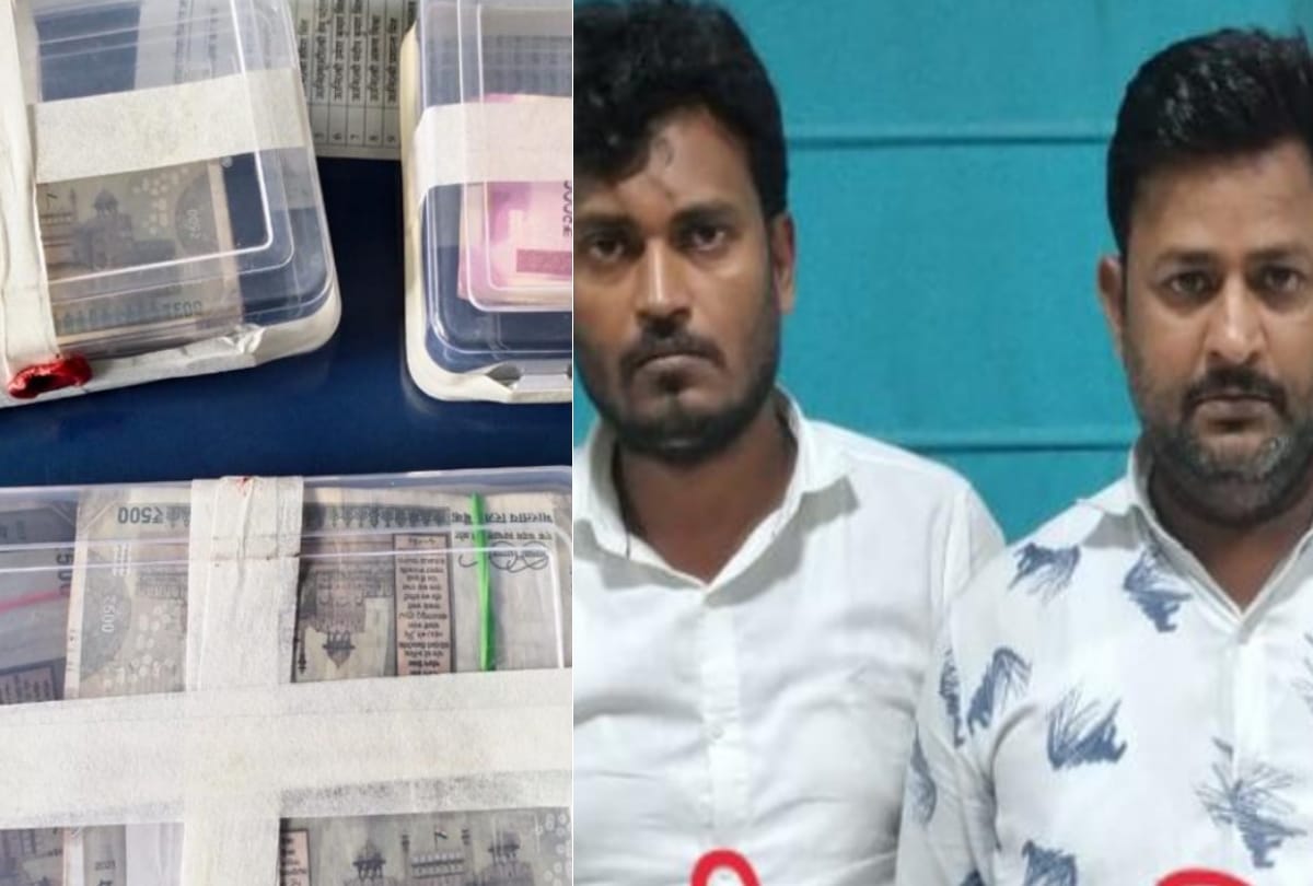 stf arrested three members of inter state  loot gang
