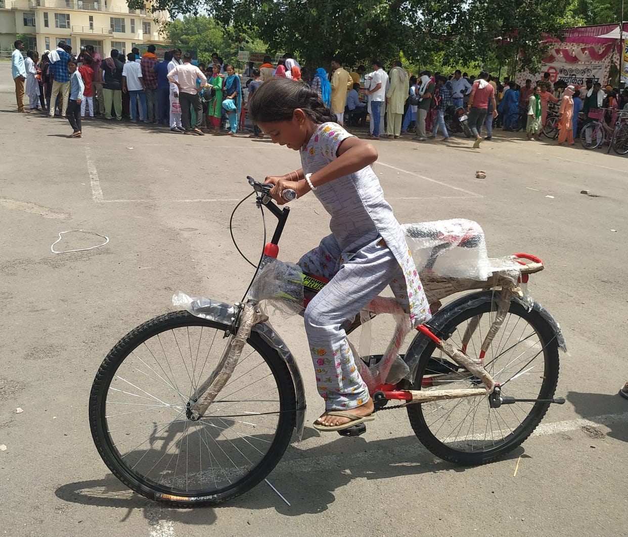 2247 students liked bicycles from the cycle fair