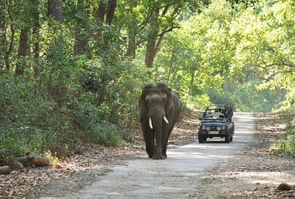 Preparation To Open New Tourist Gate In Sitavani Zone - Amar Ujala Hindi  News Live - Corbett National Park:सीतावनी जोन में नया पर्यटन गेट खोलने की  तैयारी, बढ़ेगा रोजगार, ऑनलाइन बुकिंग शुरू