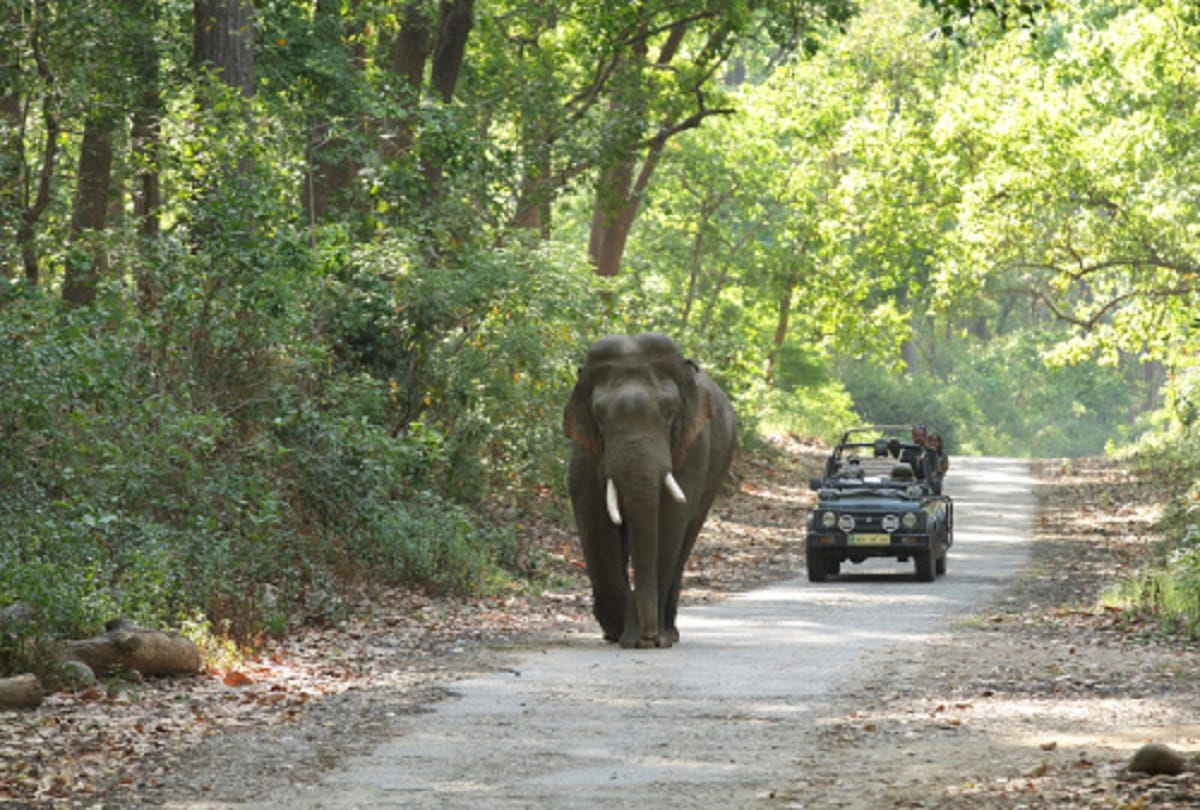 World Environment Day 2023 Tips To Protect Eco-Tourism Destinations During Travel News In Hindi