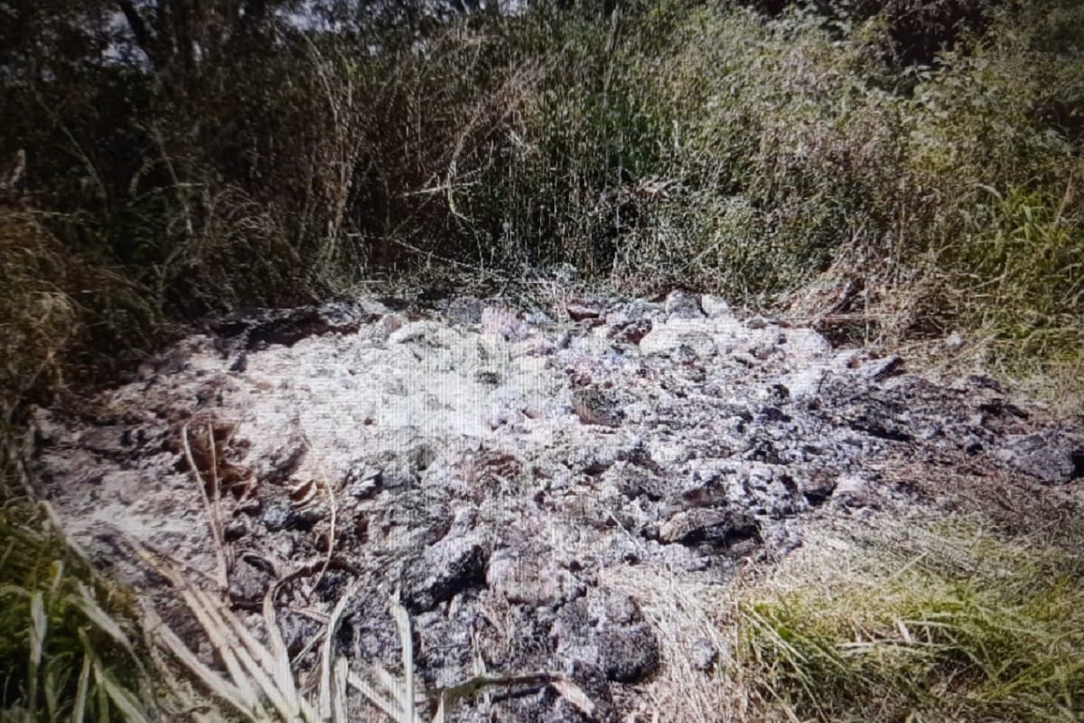 Muzaffarnagar UP Crime News: A girl was murdered in a village of Muzaffarnagar and police investigation start