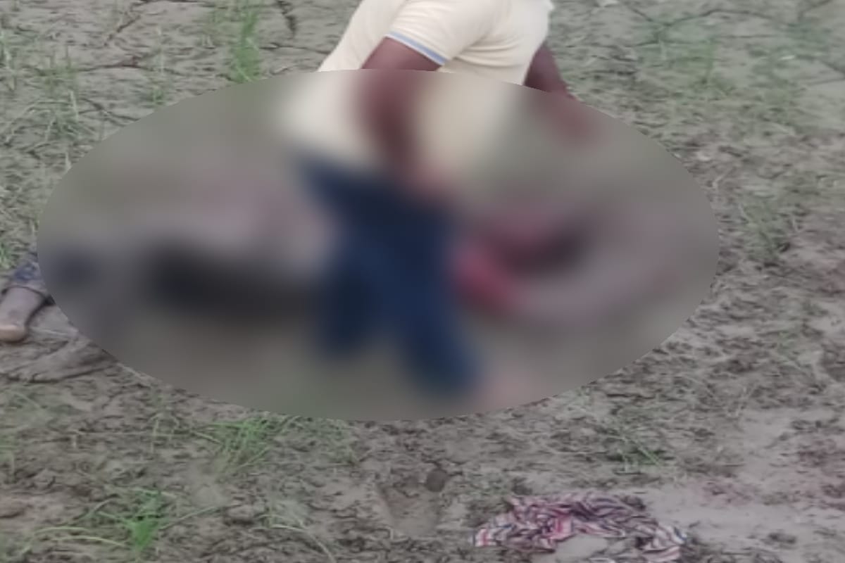 stray dogs injured the young man  and a woman In Saharanpur