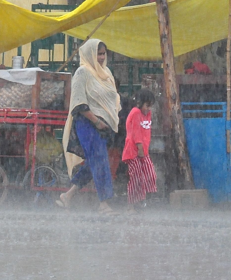 41 mm of rain, still no relief from the sultry heat