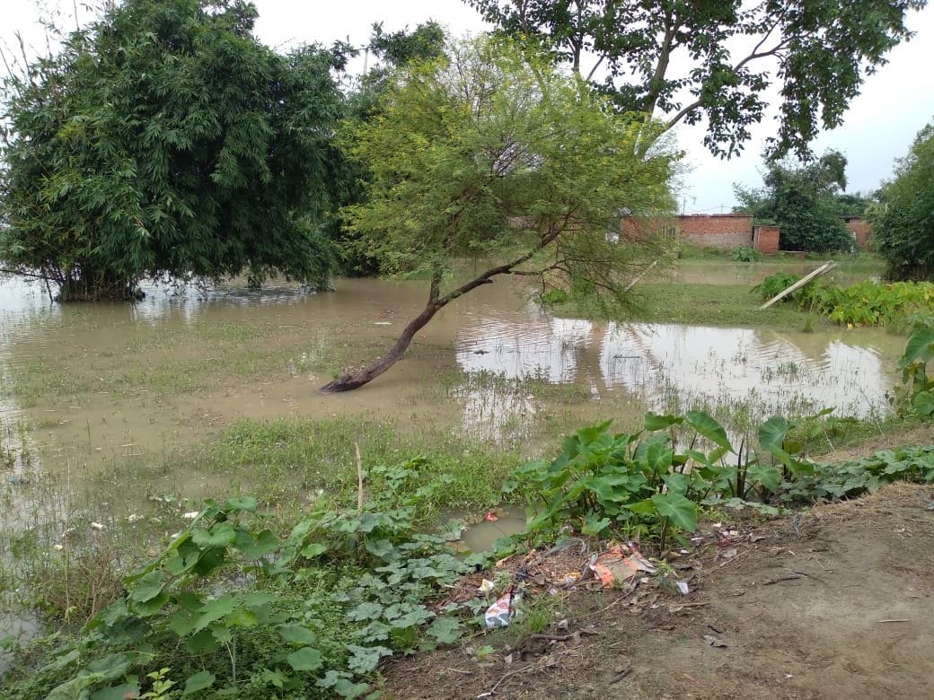 ghagra river news