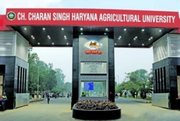 Green leaves and wet waste getting wasted, 6 crore plant made of junkyard