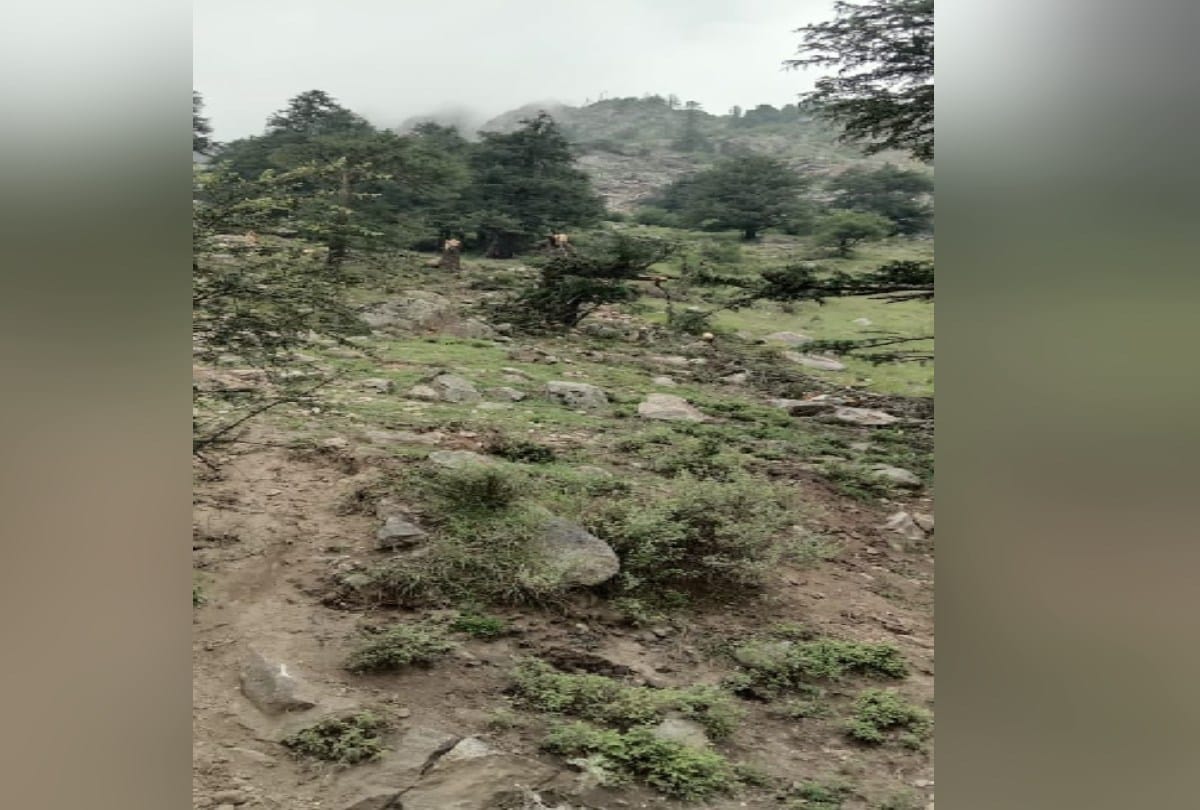 Landslide again in Kinnaur's Batseri, ITBP personnel narrowly escaped, damage to vehicles