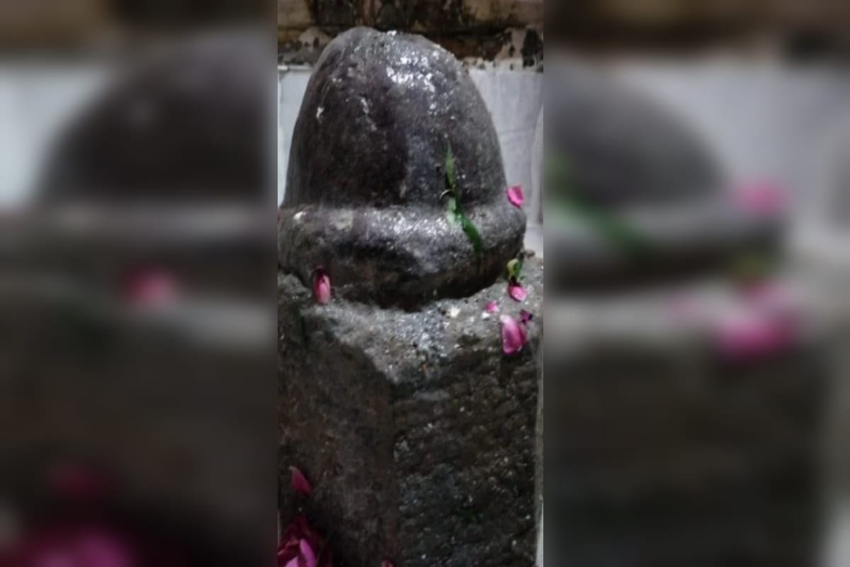 Baghpat News: The octagonal Shivling turned out in the ancient pagoda of Sinauli